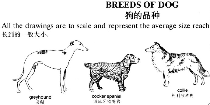 截屏2025-02-23 08.11.43