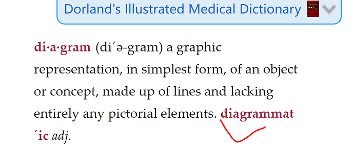 捕获词头派生词