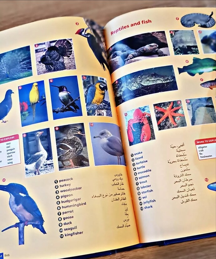 Screenshot_2026-02-26-20-10-45-683_com.instagram.lite_1772125880883edit