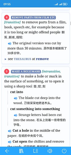 Screenshot_20250730_095501_cn.ssdl.bluedictpro