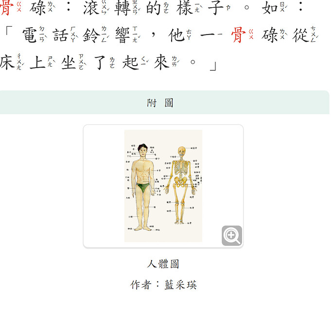 人体图.PNG