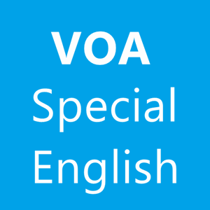 VOA Words And Idioms4